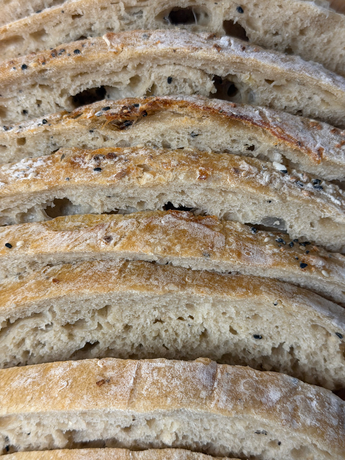 Milo's Everything Bagel Sourdough Loaf