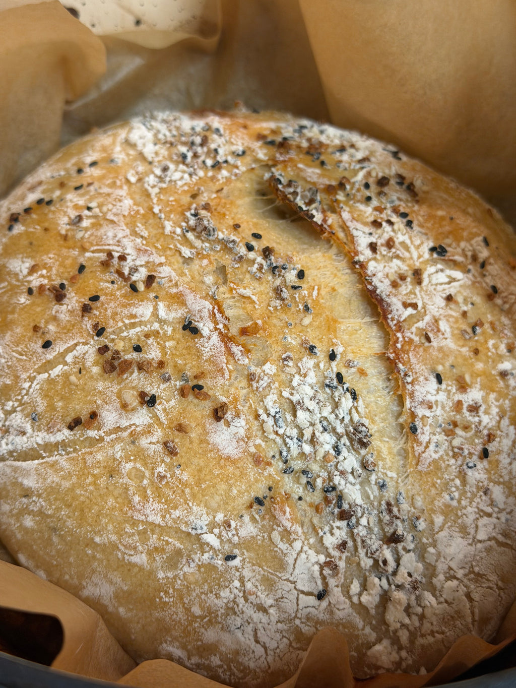 Milo's Everything Bagel Sourdough Loaf