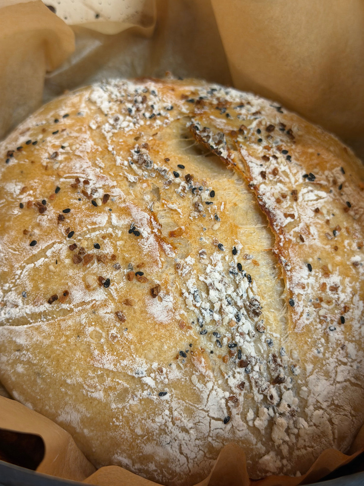 Milo's Everything Bagel Sourdough Loaf