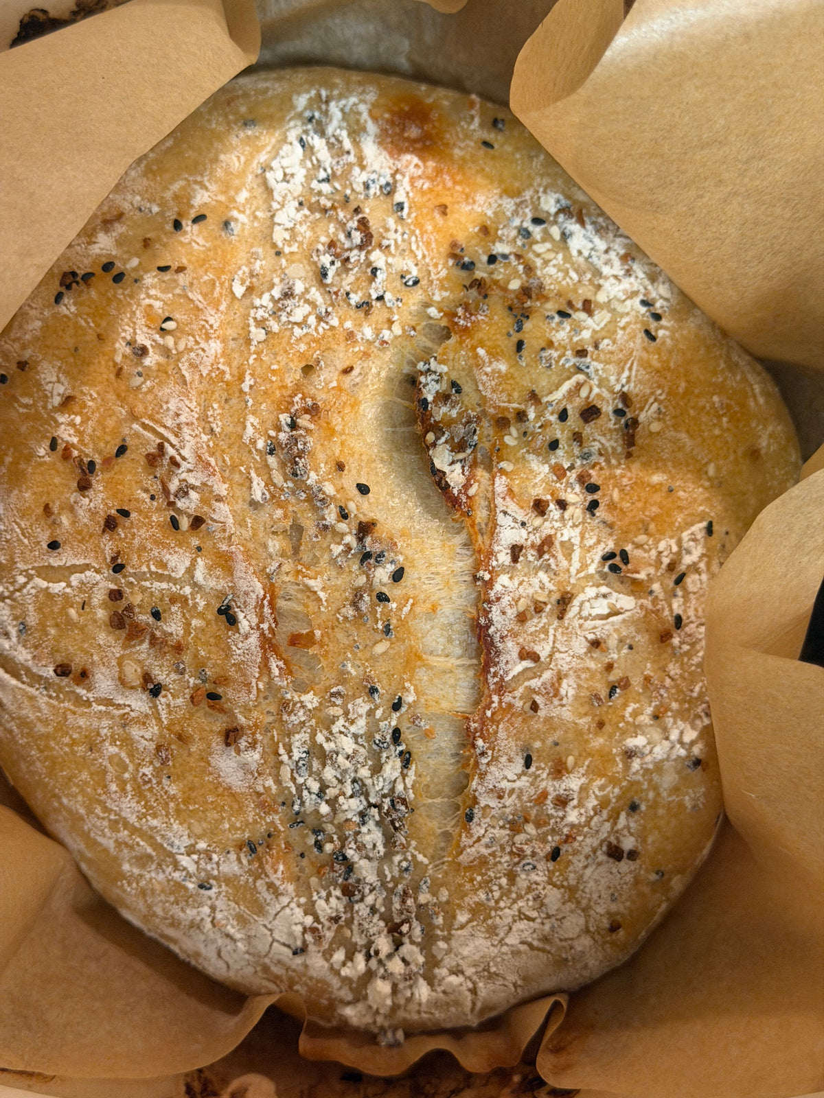 Milo's Everything Bagel Sourdough Loaf